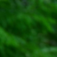 Portrait: Leah Kabrel