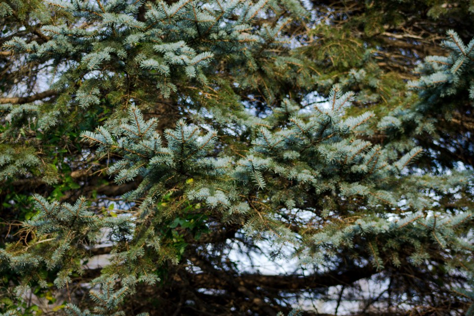 It’s the Holiday&nbsp;Season